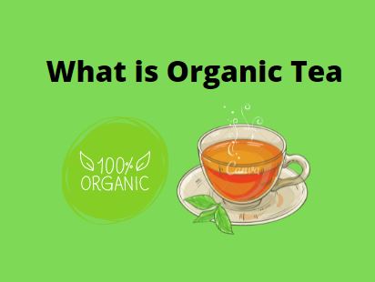 What is Organic Tea
