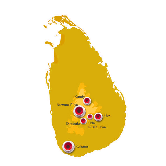 Tea growing region in Sri Lanka map 
