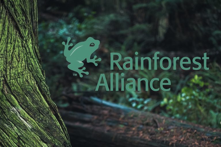 Rainforest Alliance Certified Tea